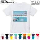 ドライTシャツ 吸水 速乾 DRY 選べる18カラー 4サイズ キッズ 半袖 デザインドライTシャツ スポーツ ゆったり デザイン 120サイズ 130サイズ ...