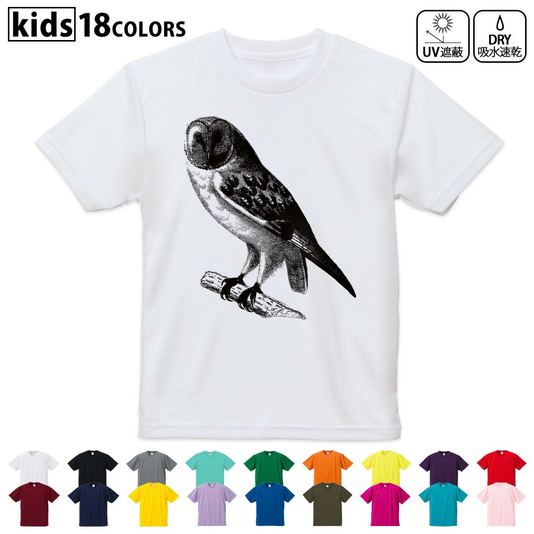 ドライTシャツ 吸水 速乾 DRY 選べる18カラー 4サイズ キッズ 半袖 デザインドライTシャツ スポーツ ゆったり デザイン 120サイズ 130サイズ 140サイズ 150サイズ 160サイズ 017479 リアル　フクロウ　鳥