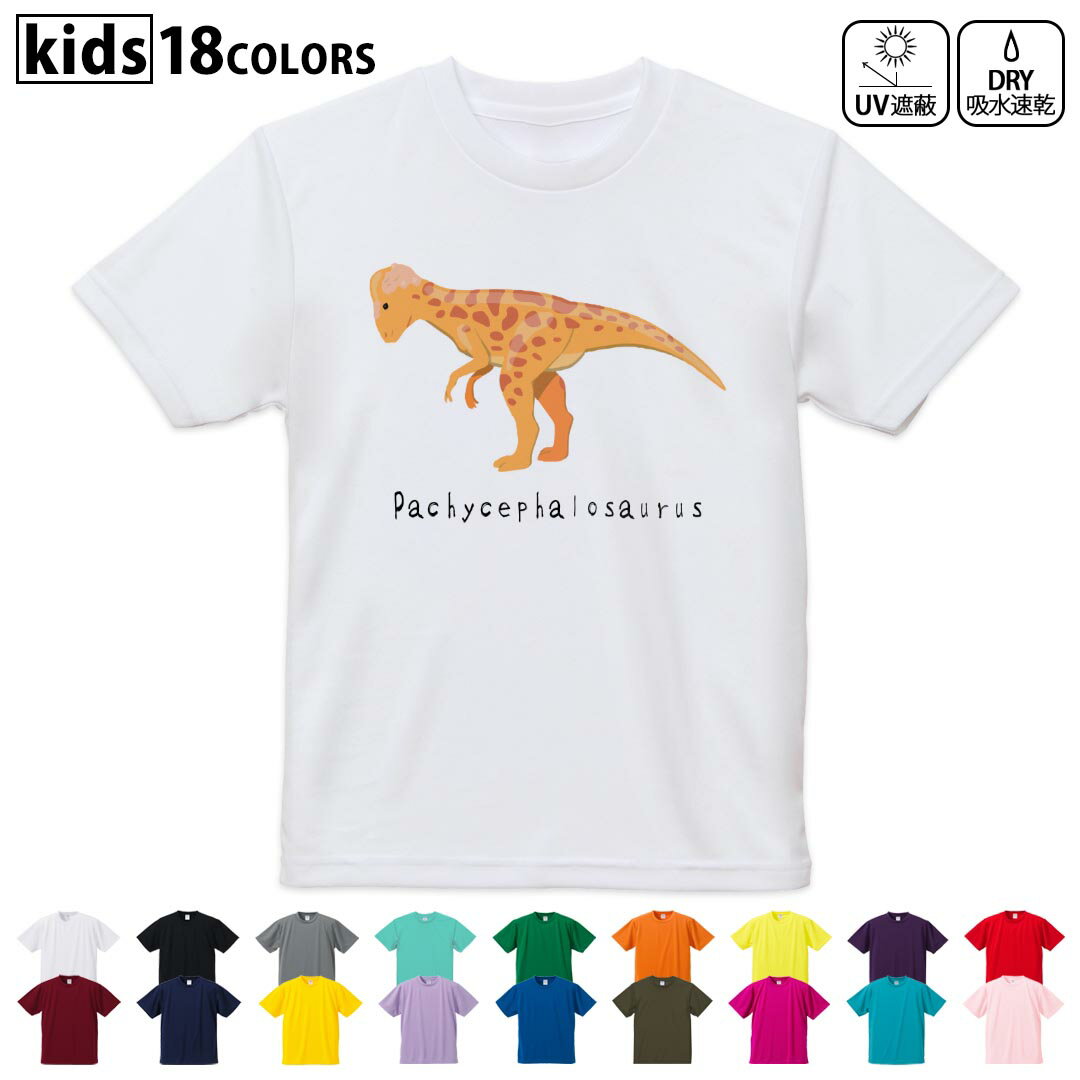 ドライTシャツ 吸水 速乾 DRY 選べる18カラー 4サイズ キッズ 半袖 デザインドライTシャツ スポーツ ゆったり デザイン 120サイズ 130サイズ 140サイズ 150サイズ 160サイズ 017690 パキケファロサウルス saurus 恐竜