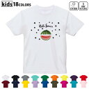 ドライTシャツ 吸水 速乾 DRY 選べる18カラー 4サイズ キッズ 半袖 デザインドライTシャツ スポーツ ゆったり デザイン 120サイズ 130サイズ 140サイズ 150サイズ 160サイズ 017842 スイカ 夏 summer