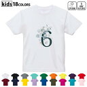 ドライTシャツ 吸水 速乾 DRY 選べる18カラー 4サイズ キッズ 半袖 デザインドライTシャツ スポーツ ゆったり デザイン 120サイズ 130サイズ 140サイズ 150サイズ 160サイズ 019375 文字 6