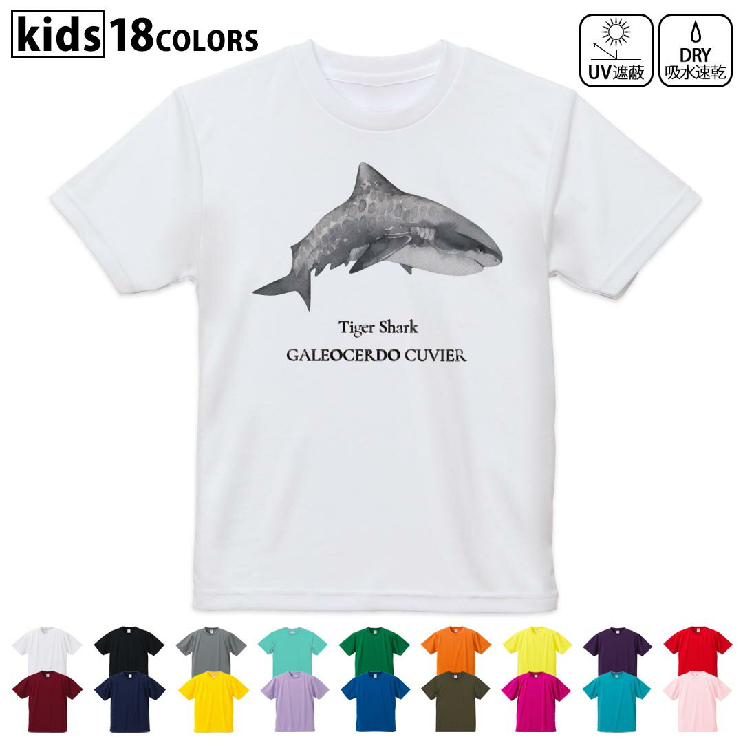 ドライTシャツ 吸水 速乾 DRY 選べる18カラー 4サイズ キッズ 半袖 デザインドライTシャツ スポーツ ゆったり デザイン 120サイズ 130サイズ 140サイズ 150サイズ 160サイズ 019745 海の生物 イタチザメ tiger shark