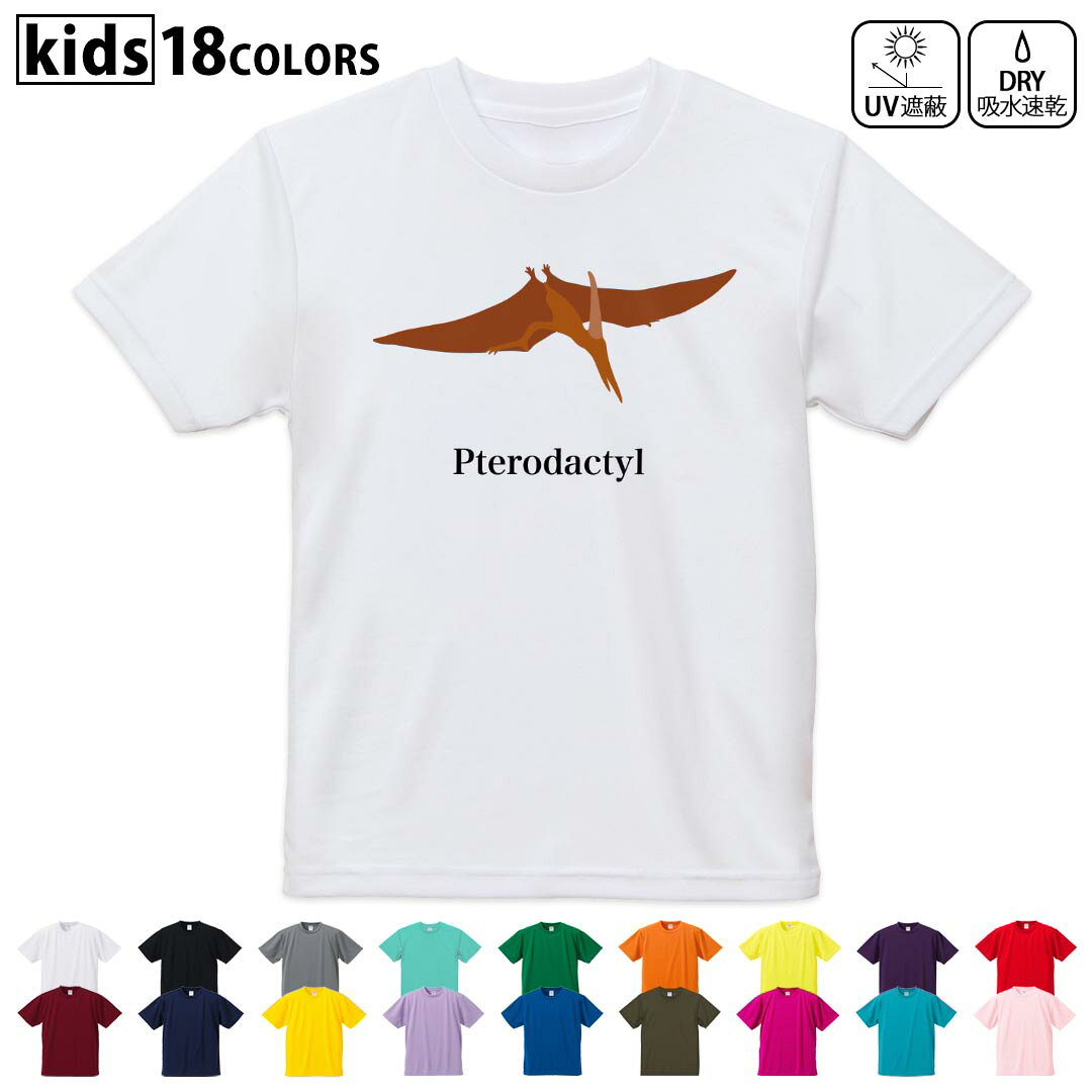 ドライTシャツ 吸水 速乾 DRY 選べる18カラー 4サイズ キッズ 半袖 デザインドライTシャツ スポーツ ゆったり デザイン 120サイズ 130サイズ 140サイズ 150サイズ 160サイズ 019803 恐竜 pterodactyl テロダクティル