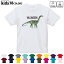 ドライTシャツ 吸水 速乾 DRY 選べる18カラー 4サイズ キッズ 半袖 デザインドライTシャツ スポーツ ゆったり デザイン 120サイズ 130サイズ 140サイズ 150サイズ 160サイズ 019829 恐竜 Vylcanodon ヴルカノドン 1,580円