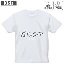 キッズ ドライTシャツ ホワイト 半袖 4.1オンス トレーニング スポーツ ジム 運動会 ドライアスレチック UVカット 紫外線遮蔽 吸水速乾 120 130 140 150 160 022389 Garc?a ガルシア