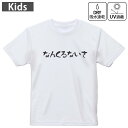 キッズ ドライTシャツ ホワイト 半袖 4.1オンス トレーニング スポーツ ジム 運動会 ドライアスレチック UVカット 紫外線遮蔽 吸水速乾 120 130 140 150 160 032714 なんくるないさ