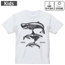 キッズ ドライTシャツ ホワイト 半袖 4.1オンス トレーニング スポーツ ジム 運動会 ドライアスレチック UVカット 紫外線遮蔽 吸水速乾 120 130 140 150 160 015819 魚 くじら シャチ(4)