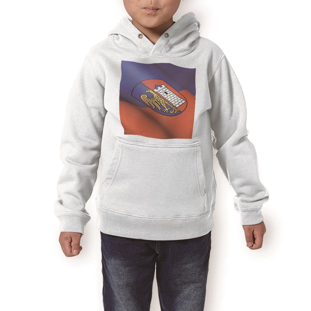 ѡ å ۥ磻 졼 ֥å ǥ 110 130 150 parker hooded sweatshirt աǥ ...