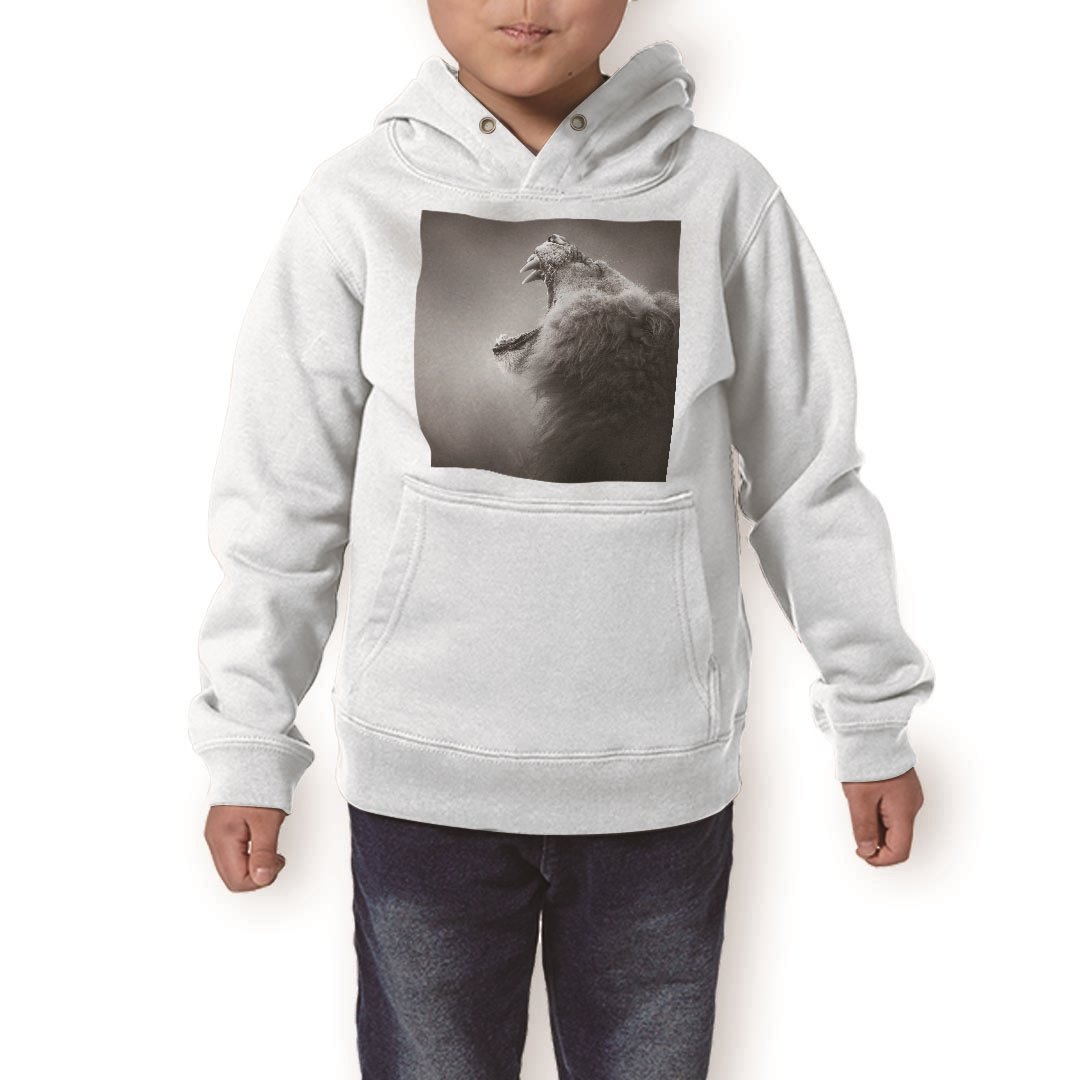 ѡ å ۥ磻 졼 ֥å ǥ 110 130 150 parker hooded sweatshirt աǥ ...