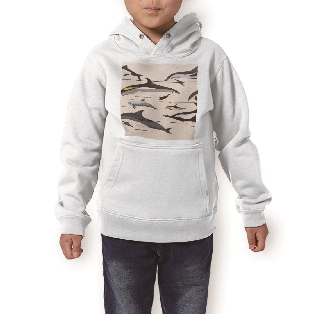 ѡ å ۥ磻 졼 ֥å ǥ 110 130 150 parker hooded sweatshirt աǥ ...