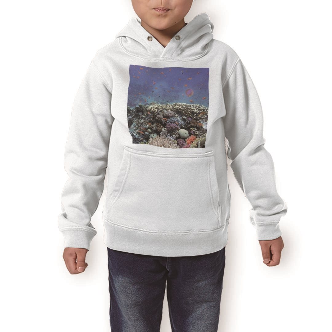 ѡ å ۥ磻 졼 ֥å ǥ 110 130 150 parker hooded sweatshirt աǥ ...