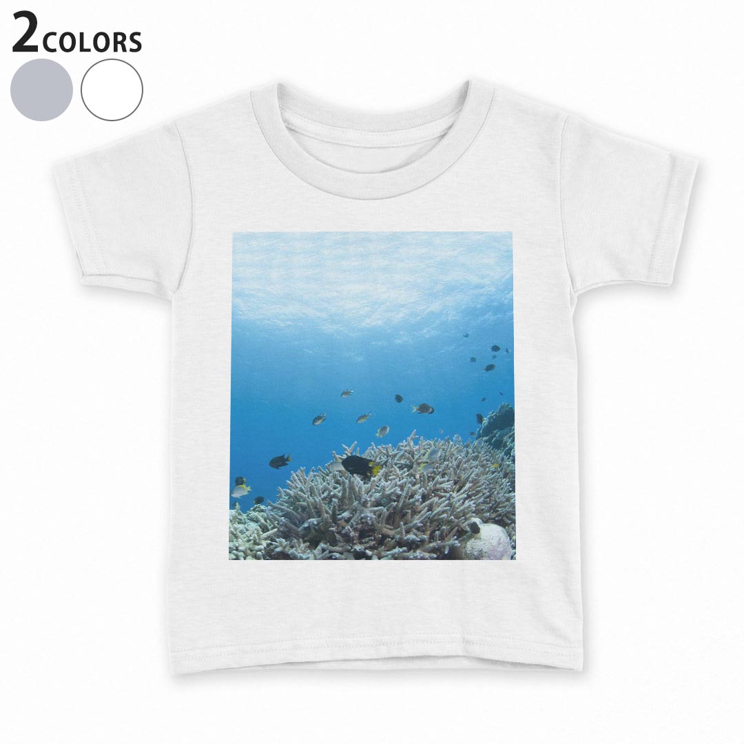 tシャツ キッズ 半袖 白地 デザイン 110 120 130 140 150 Tシャツ ティーシャツ T shirt 000060 海　魚　自然　サンゴ