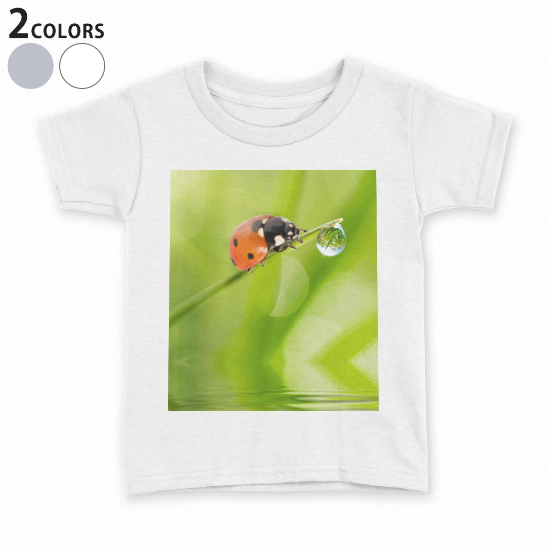 tシャツ キッズ 半袖 白地 デザイン 90 100 110 120 130 140 150 Tシャツ ティーシ...