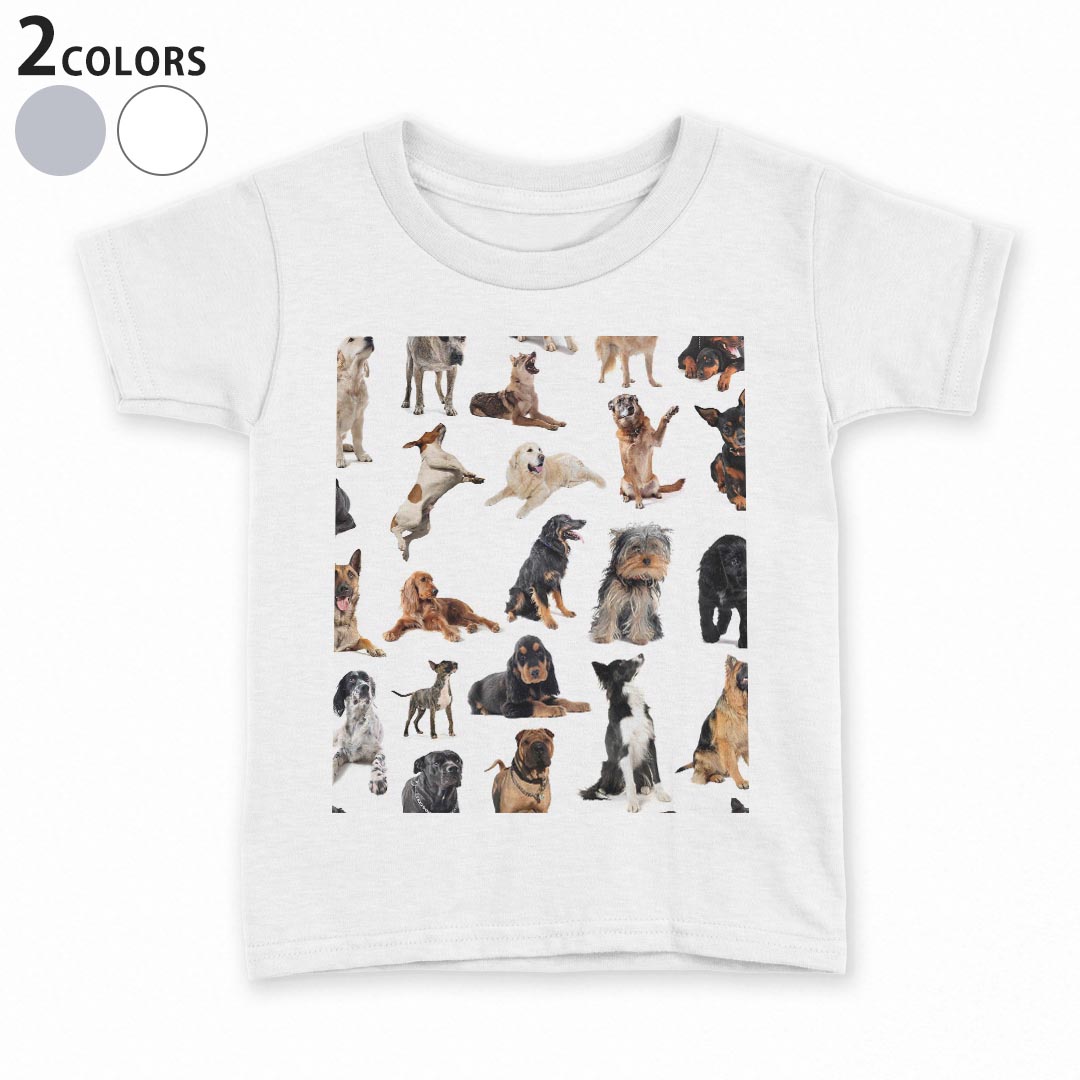 Rakuten - tシャツ キッズ 半袖 白地 デザイン 90 100 110 120 130 140 150 Tシャツ ティーシャツ T shirt 000911 犬　動物
