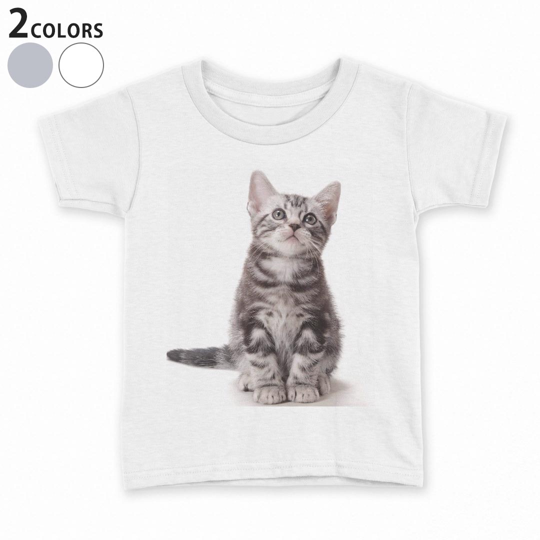 tシャツ キッズ 半袖 白地 デザイン 110 120 130 140 150 Tシャツ ティーシャツ T shirt 001070 猫 アメリカンショートヘア