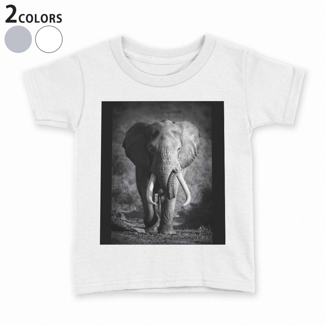 楽天市場】ぞうさん（Tシャツ・カットソー｜トップス）：キッズ 