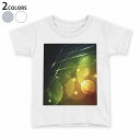 tシャツ キッズ 半袖 白地 デザイン 90 100 110 120 130 140 150 Tシャツ ティーシャツ T shirt 002276 模様 カラフル(4)
