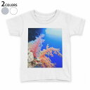 tシャツ キッズ 半袖 白地 デザイン 90 100 110 120 130 140 150 Tシャツ ティーシャツ T shirt 003341 海 写真 景色 風景(4)