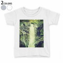 tシャツ キッズ 半袖 白地 デザイン 110 120 130 140 150 Tシャツ ティーシャツ T shirt 003545 写真　風景　景色