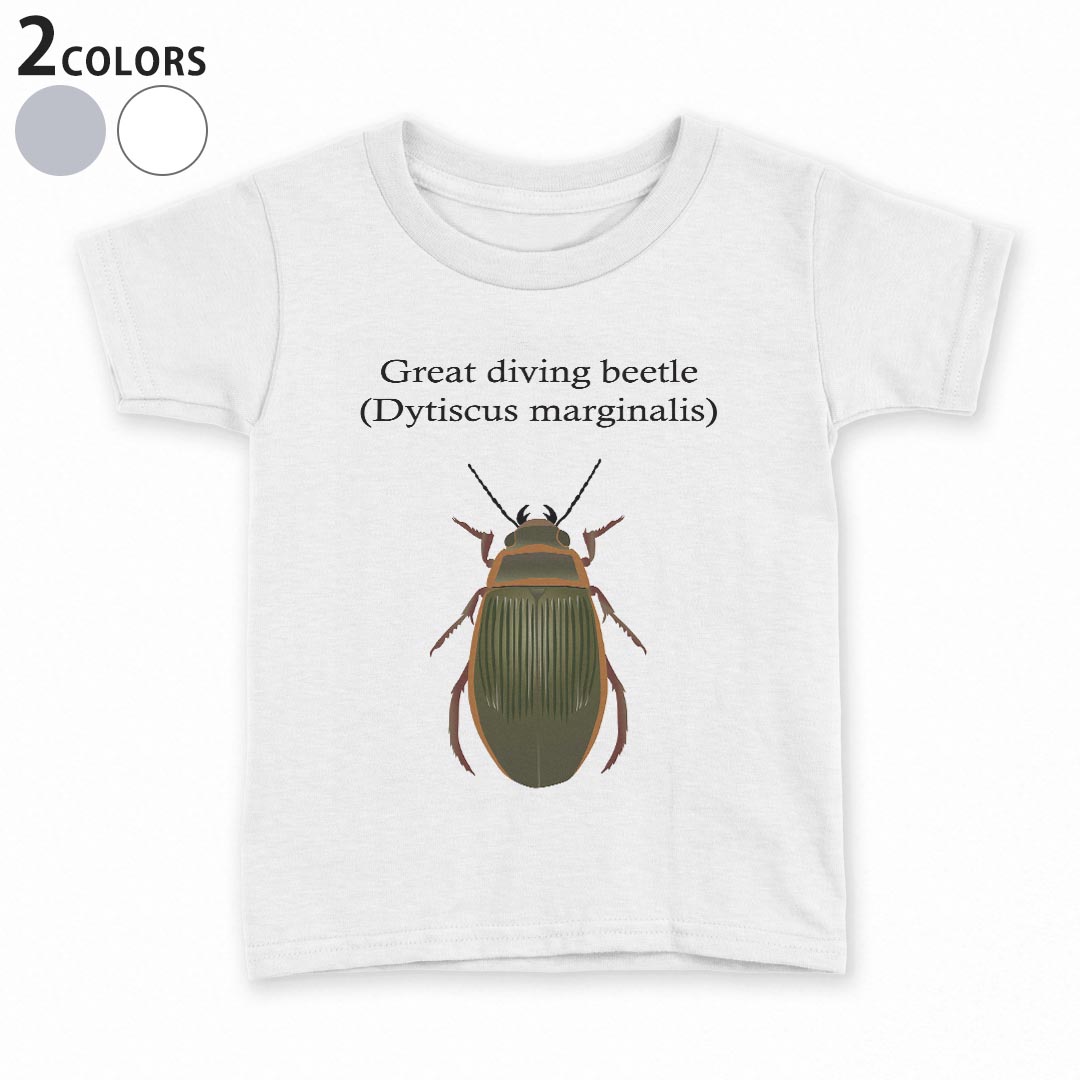 tシャツ キッズ 半袖 白地 デザイン 90 100 110 120 130 140 150 Tシャツ ティーシャツ T shirt 020026 虫 great diving beetle エゾゲンゴロウ