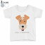 tシャツ キッズ 半袖 白地 子供服 tシャツ デザイン 90 100 110 120 130 140 150 Tシャツ ティーシャツ T shirt 022603 犬 フォックス・テリア 1,580円