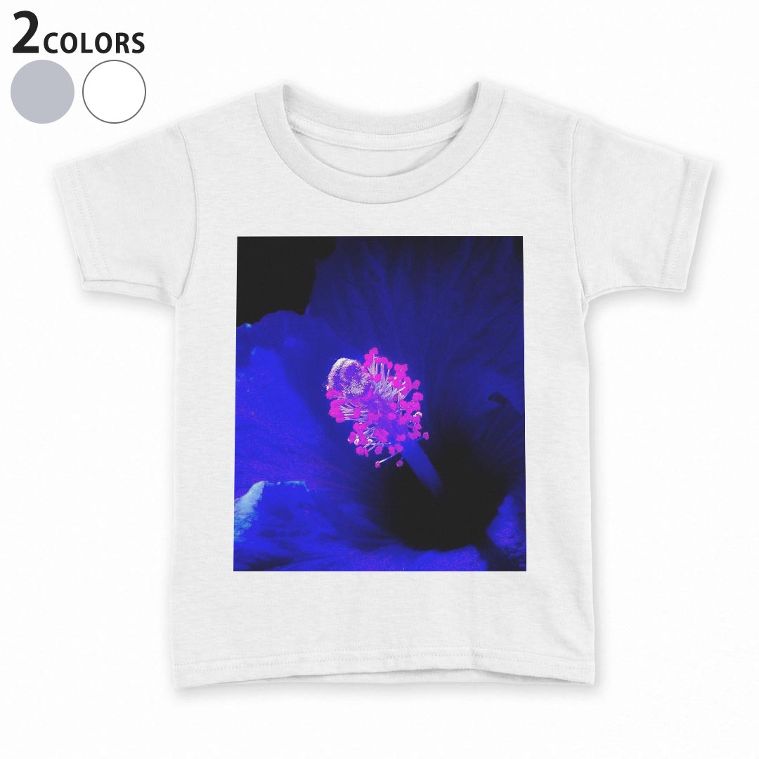 kw-022920-ts