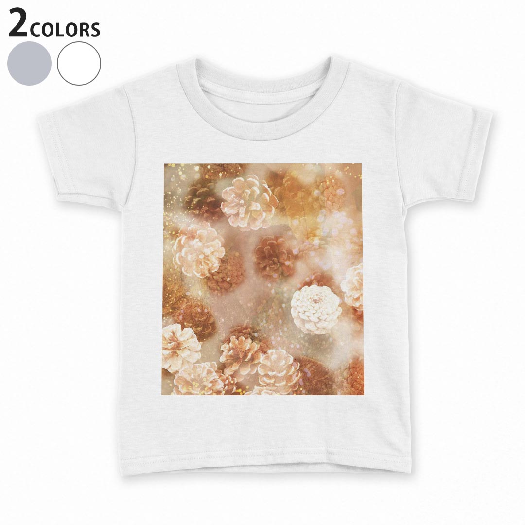 kw-022962-ts