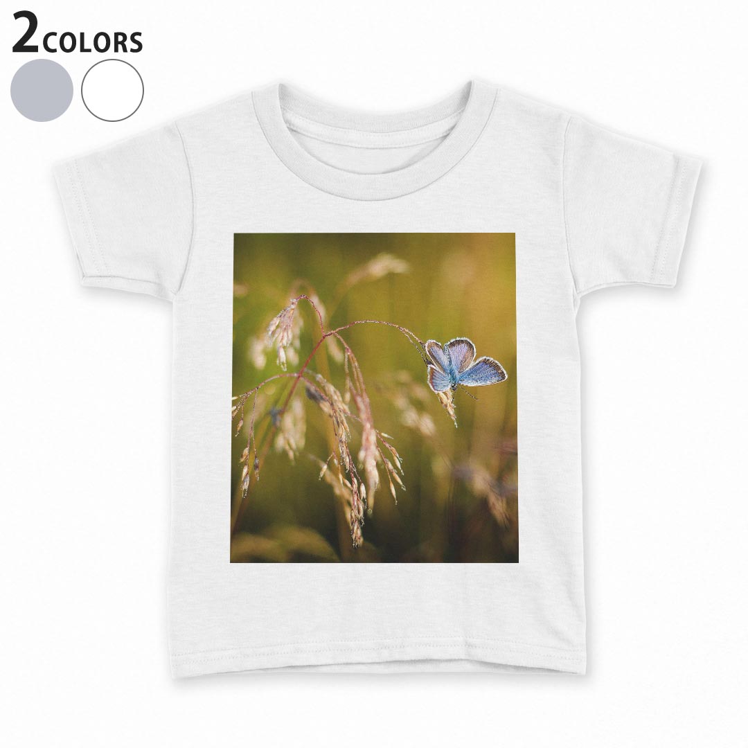 tシャツ キッズ 半袖 白地 子供服 tシャツ デザイン 90 100 110 120 130 140 150 Tシャツ ティーシャツ T shirt 023045 蝶々 自然 景色