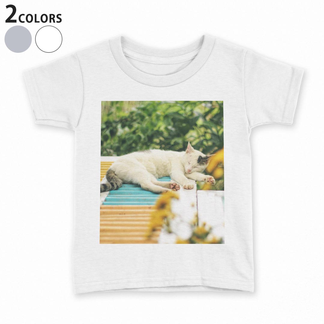 kw-023095-ts