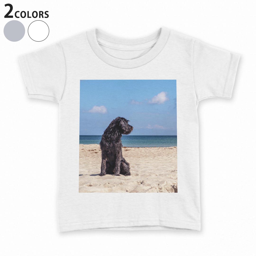 T-Shirts （Short Sleeve） - tシャツ キッズ 半袖 白地 子供服 tシャツ デザイン 90 100 110 120 130 140 150 Tシャツ ティーシャツ T shirt 023219 犬　海　夏　写真