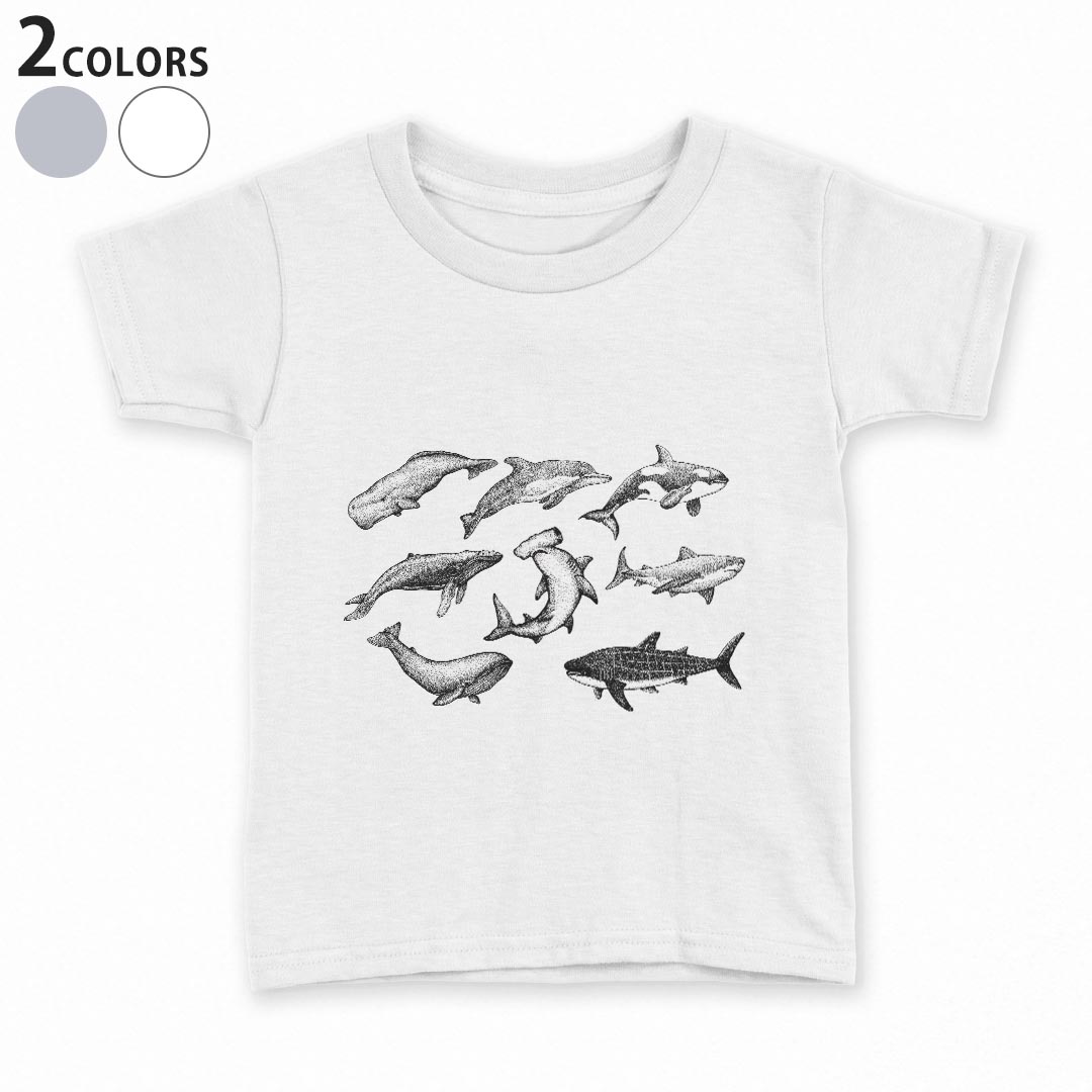 T-Shirts （Short Sleeve） - tシャツ キッズ 半袖 白地 デザイン 90 100 110 120 130 140 150 Tシャツ ティーシャツ T shirt 032229 鮫 シャーク