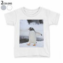 tシャツ キッズ 半袖 白地 デザイン 90 100 110 120 130 140 150 Tシャツ ティーシャツ T shirt 004679 動物 ペンギン 写真(4)