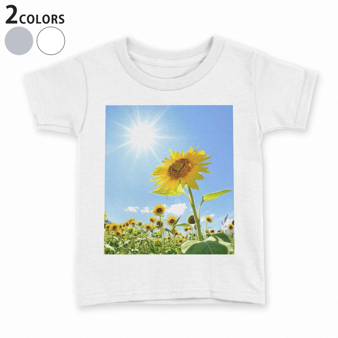 tシャツ キッズ 半袖 白地 デザイン 90 100 110 120 130 140 150 Tシャツ ティーシャツ T shirt 005089 ひまわり　写真　太陽