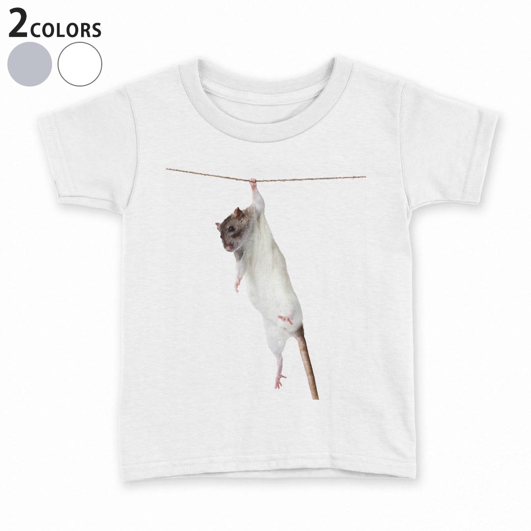 tシャツ キッズ 半袖 白地 デザイン 90 100 110 120 130 140 150 Tシャツ ティーシャツ T shirt 005911 写真 動物 ねずみ