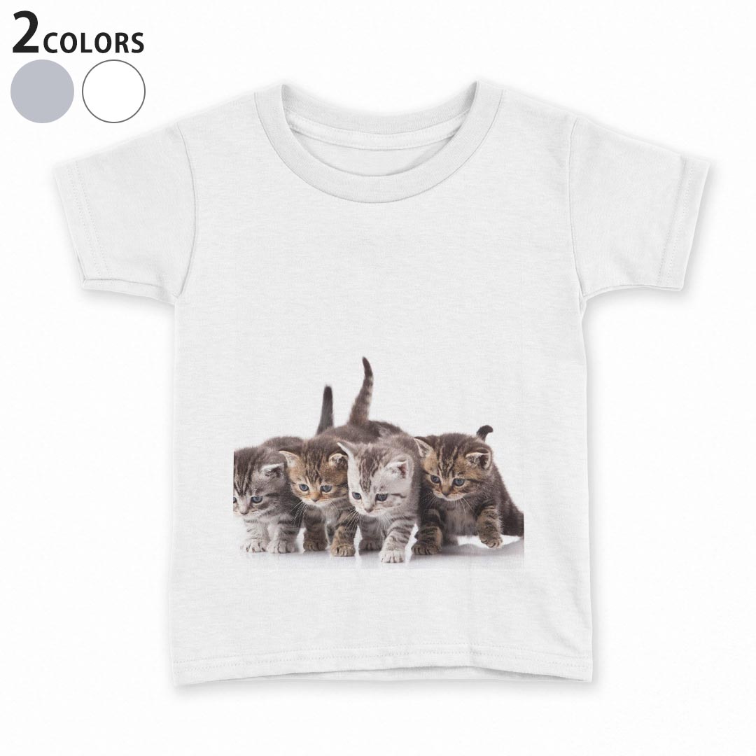 tシャツ キッズ 半袖 白地 デザイン 110 120 130 140 150 Tシャツ ティーシャツ T shirt 005928 写真　動物　猫　ねこ