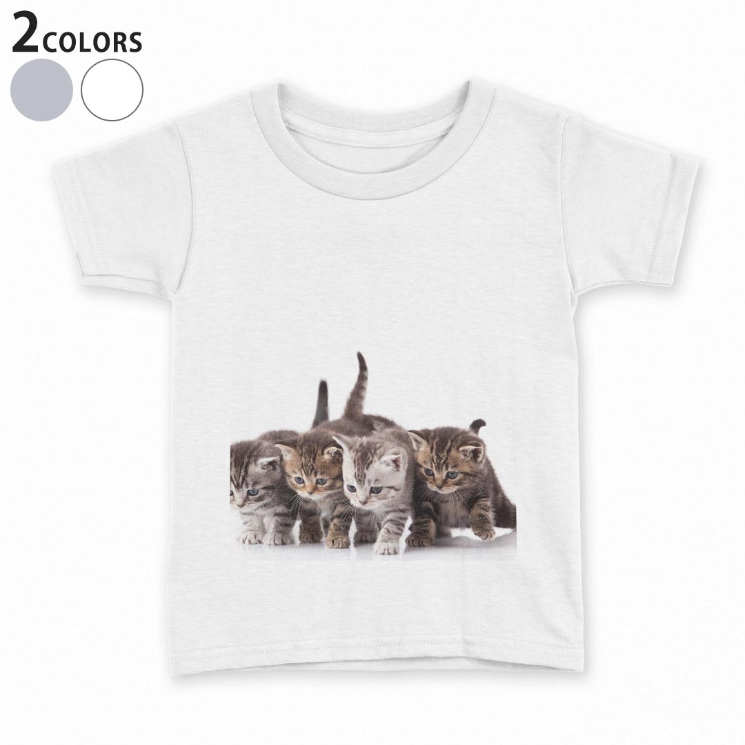 tシャツ キッズ 半袖 白地 デザイン 110 120 130 140 150 Tシャツ ティーシャツ T shirt 005928 写真 動物 猫 ねこ