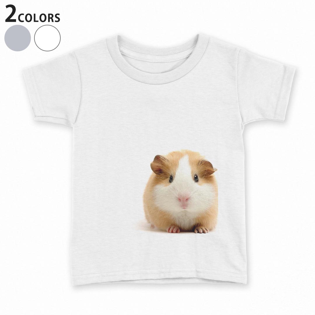 tシャツ キッズ 半袖 白地 灰色 ホワイト グレー デザイン 90 100 110 120 130 140 150 Tシャツ ティーシャツ T shirt上記で使用したデザインTシャツはこちら▼キッズ用Tシャツ　グレー・ホワイト全デザインはこちらから▼ ▼キッズ用Tシャツ　ブラック全デザインはこちらから▼商品特徴・15000デザインから選べる！デザインTシャツ！ ・洗濯も赤ちゃんにも安心なウェアプリント 　UltraChrome DGインクは洗濯に対しても色落ちが少なく、高い堅牢度が実証されています。 ・着心地や素材感にこだわった、上質なTシャツ。 ・1枚でも様になる万能型Tシャツ。 ・「よれない」「透けない」「長持ちする」という三大要素をすべて兼ね備えたTシャツです。 素材 ホワイト：綿　100％ グレー：綿　90％　ポリエステル10％ 注意事項画像はサンプルですので、Tシャツの大きさが若干異なる場合があります。ご覧の環境によっては多少色味に違いを感じる場合がございます。 イメージと違った、モニターと色味が異なるという理由での交換や返金はご対応出来かねます。 写真のカラーは可能な限り実際の商品に色味を近づけていますが、WEBの性質上ご使用のパソコンの設定や環境でカラーが若干異なります。 ご注文後に1点1点制作する受注生産品のため、不良品以外のご返品や交換は固くお断り致します。 選択間違いも保証対象外となりますため、ご注文の際は必ずサイズやカラーをご確認下さい。洗濯の際は、商品の色あせを避けるため手洗いをおすすめします。 つけ置き洗いは避けてください。 タンブラー乾燥はお控えください。発送について完全受注生産のハンドメイド商品となりますので、既製品と比べて発送までお時間を頂いています。 基本的に決済確認後、最大で10営業日での発送となります。繁忙期や休業日明けの場合はさらに時間がかかる場合があります。 その際には別途メールにてご連絡致します。メール便の場合、発送日から到着までに2〜4日ほどかかる場合が多く、紛失などの保障もご対応できかねます。あらかじめご了承下さい。