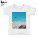 tシャツ キッズ 半袖 白地 デザイン 90 100 110 120 130 140 150 Tシャツ ティーシャツ T shirt 006468 写真 海 ボート
