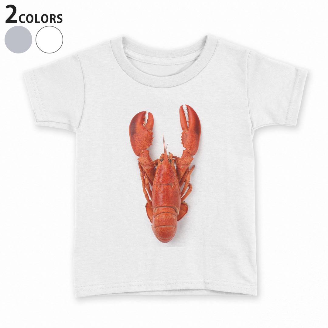 tシャツ キッズ 半袖 白地 デザイン 90 100 110 120 130 140 150 Tシャツ ティーシ...