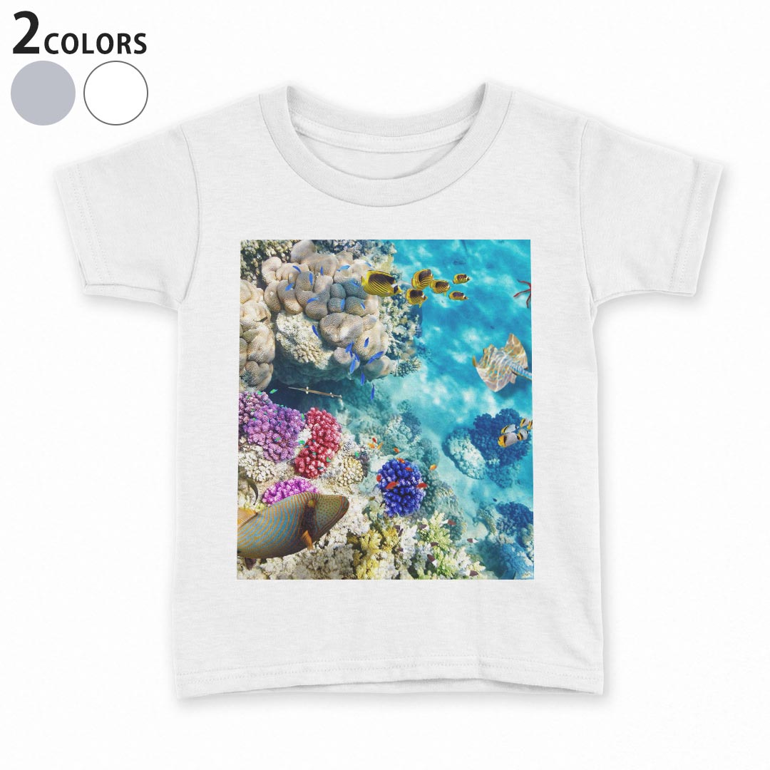 tシャツ キッズ 半袖 白地 デザイン 110 120 130 140 150 Tシャツ ティーシャツ T shirt 008923 写真　魚　海　珊瑚
