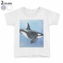 tシャツ キッズ 半袖 白地 デザイン 110 120 130 140 150 Tシャツ ティーシャツ T shirt 010302 海　生き物　くじら