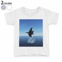 tシャツ キッズ 半袖 白地 デザイン 110 120 130 140 150 Tシャツ ティーシャツ T shirt 010806 シャチ　生き物　海