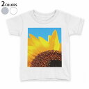 tシャツ キッズ 半袖 白地 デザイン 90 100 110 120 130 140 150 Tシャツ ティーシャツ T shirt 011439 花 ひまわり 写真(4)