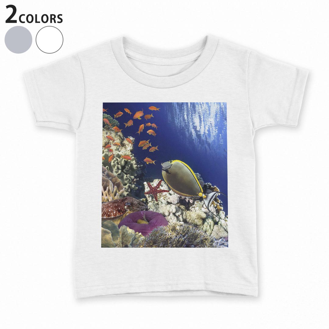 tシャツ キッズ 半袖 白地 デザイン 110 120 130 140 150 Tシャツ ティーシャツ T shirt 011673 海　魚　珊瑚