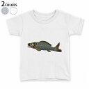 tシャツ キッズ 半袖 白地 デザイン 90 100 110 120 130 140 150 Tシャツ ティーシャツ T shirt 013188 鯉 魚 こい...