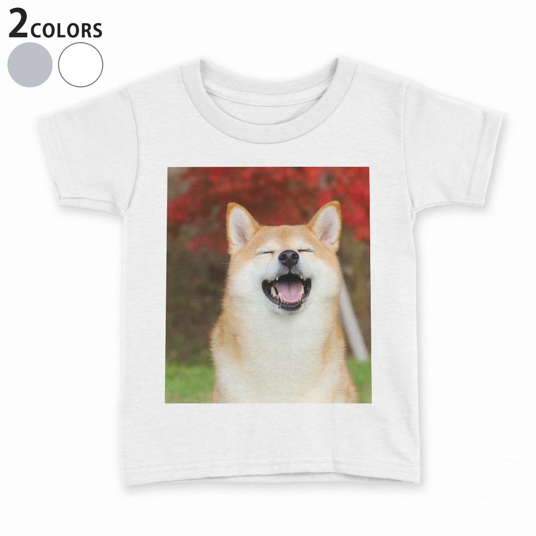 tシャツ キッズ 半袖 白地 デザイン 110 120 130 140 150 Tシャツ ティーシャツ T shirt 015611 犬　かわいい　柴犬