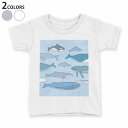 tシャツ キッズ 半袖 白地 デザイン 110 120 130 140 150 Tシャツ ティーシャツ T shirt 016134 魚