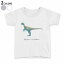 tシャツ キッズ 半袖 白地 デザイン 90 100 110 120 130 140 150 160 Tシャツ ティーシャツ T shirt 017687 恐竜 ヒプシロフォドン Hypsilophodon 恐竜 1,580円