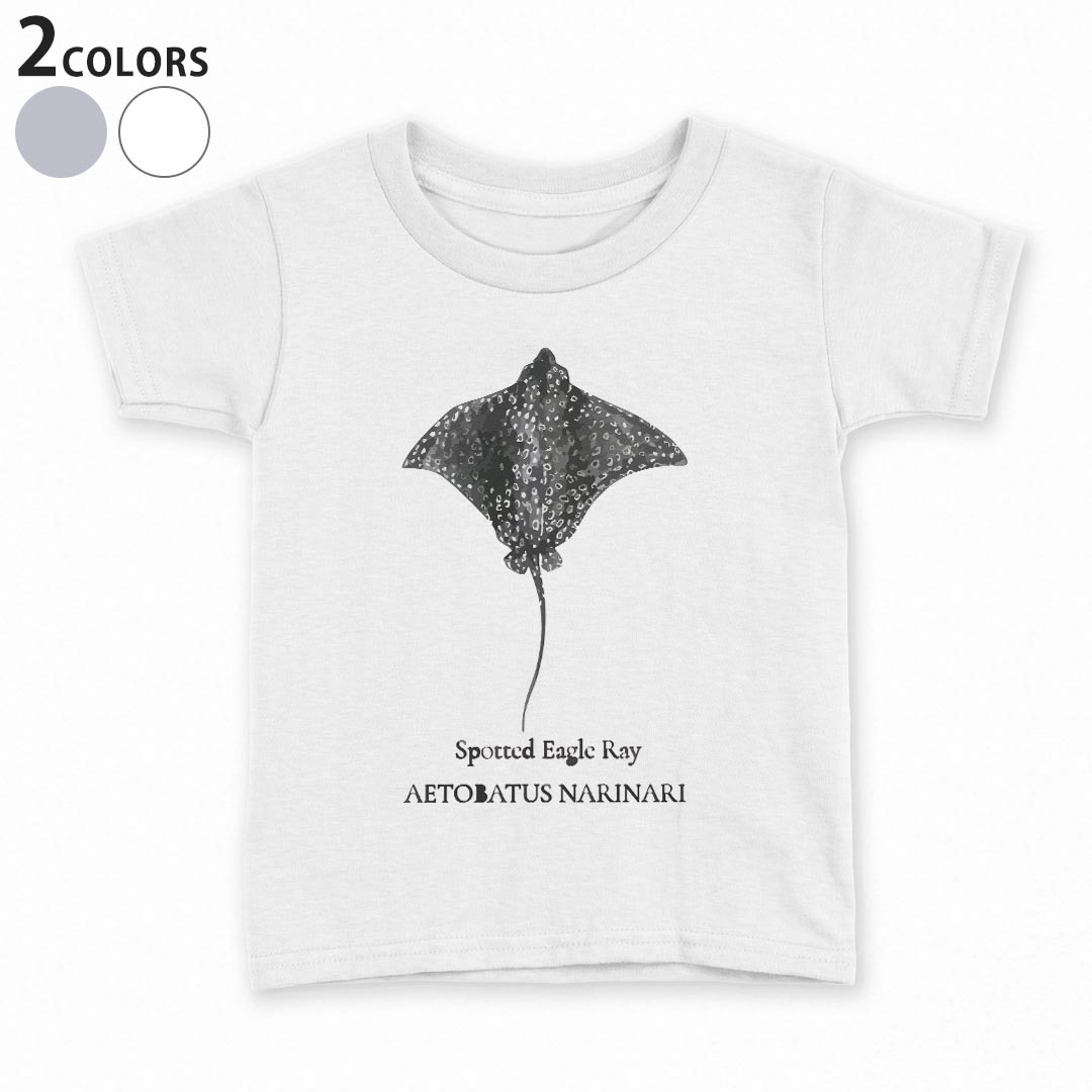 tシャツ キッズ 半袖 白地 デザイン 90 100 110 120 130 140 150 Tシャツ ティーシャツ T shirt 019732 海の生物 aetobatus narinari マダラトビエイ