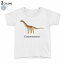tシャツ キッズ 半袖 白地 デザイン 90 100 110 120 130 140 150 Tシャツ ティーシャツ T shirt 019771 恐竜 camarasaurus カマラサウルス 1,580円